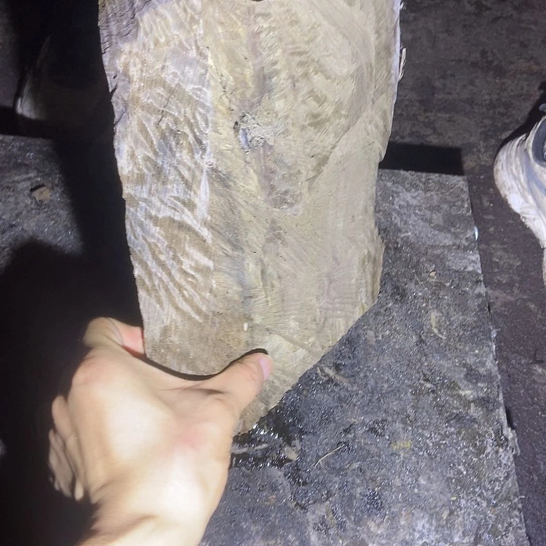 兄*金丝楠阴沉木毛料