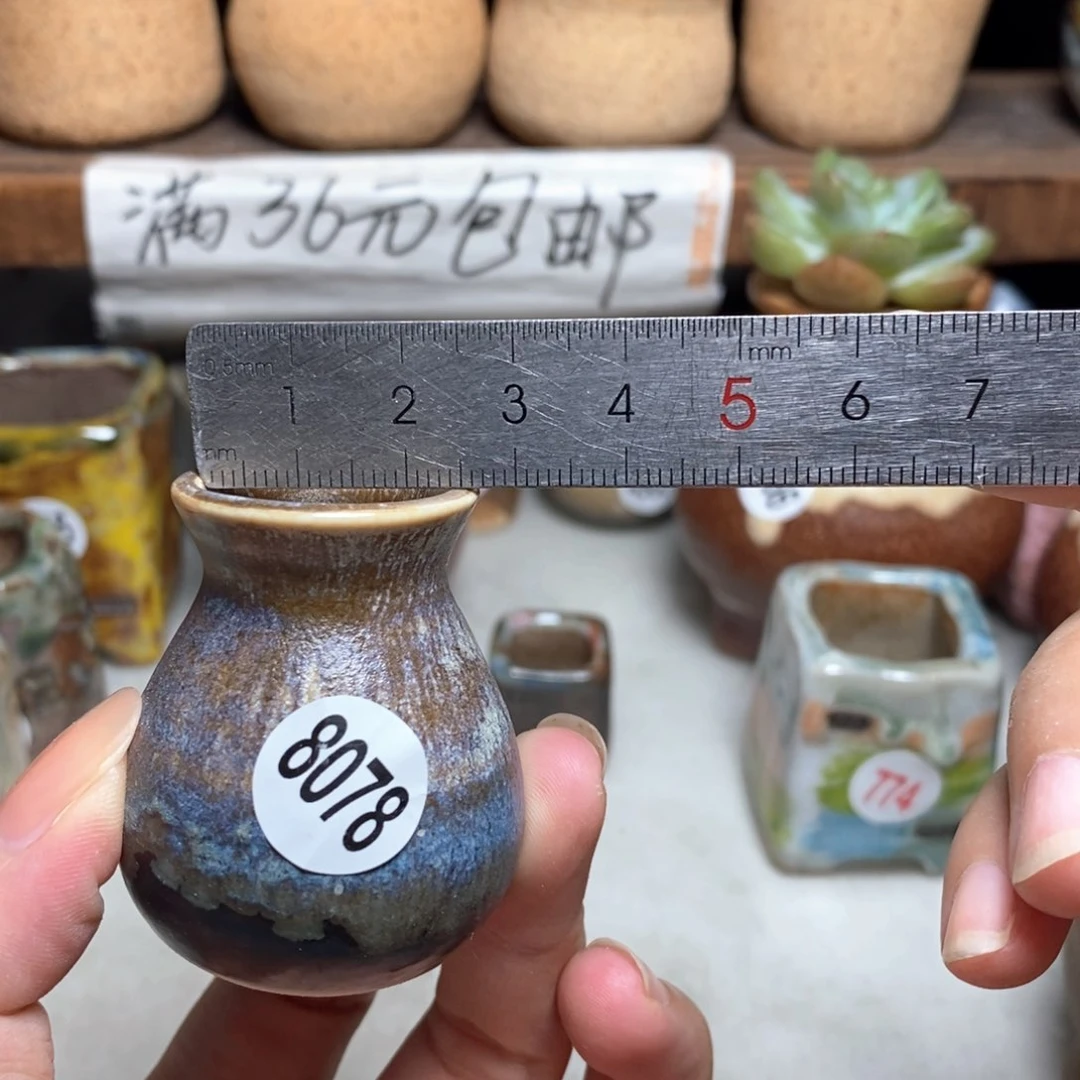 拍5送一个小礼物，