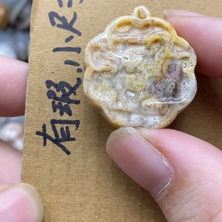 硅化珊瑚（珊瑚玉）未镶嵌颈饰