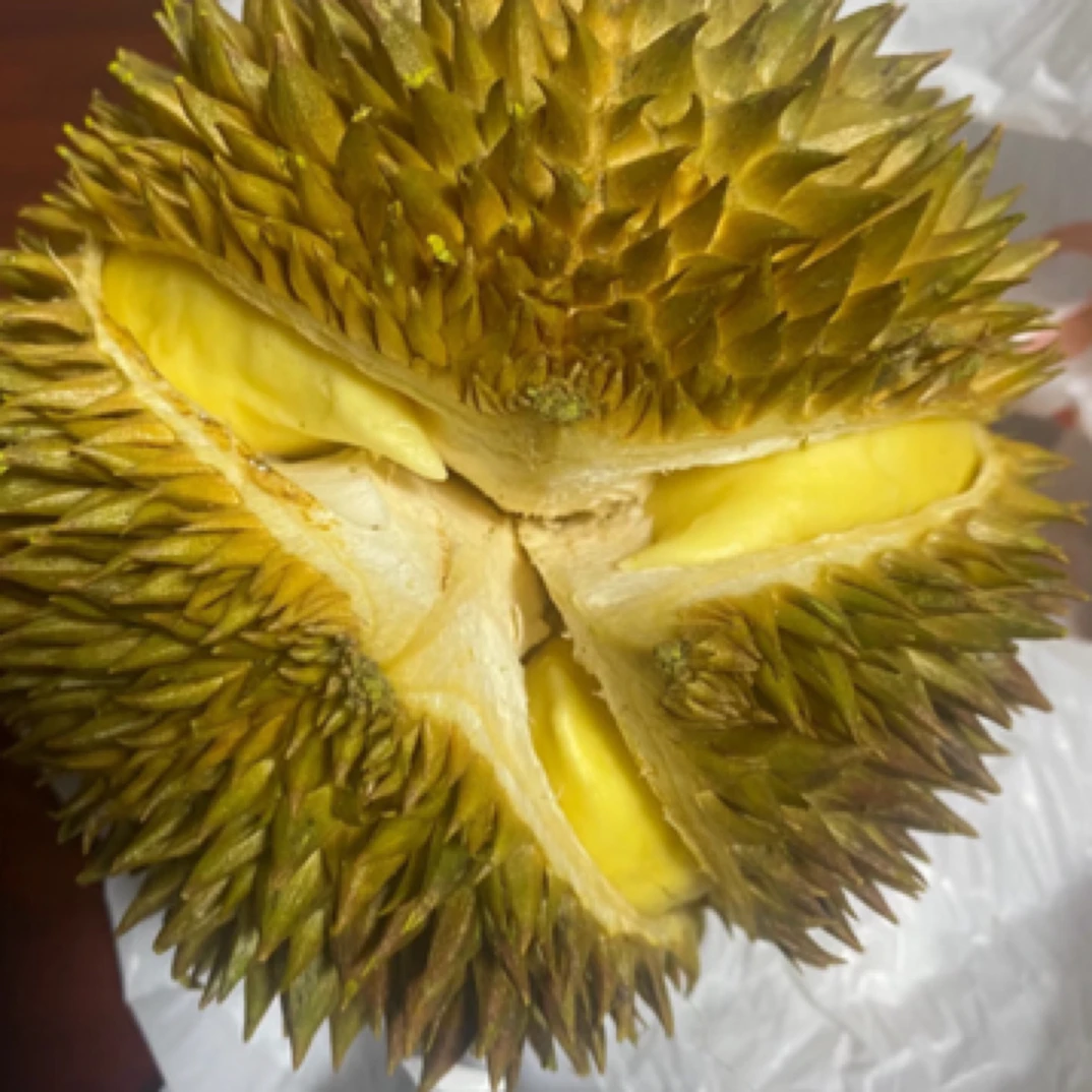 精品新鲜泰国金枕榴莲（88一个3～4斤）核小金枕泰国东部