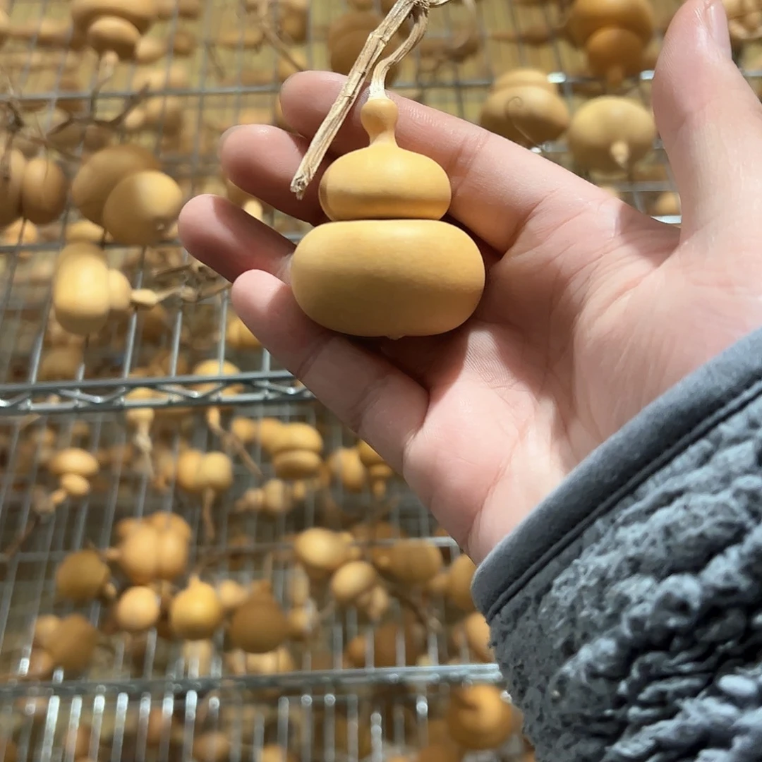 随***舞葫芦娃的时候我也是醉了