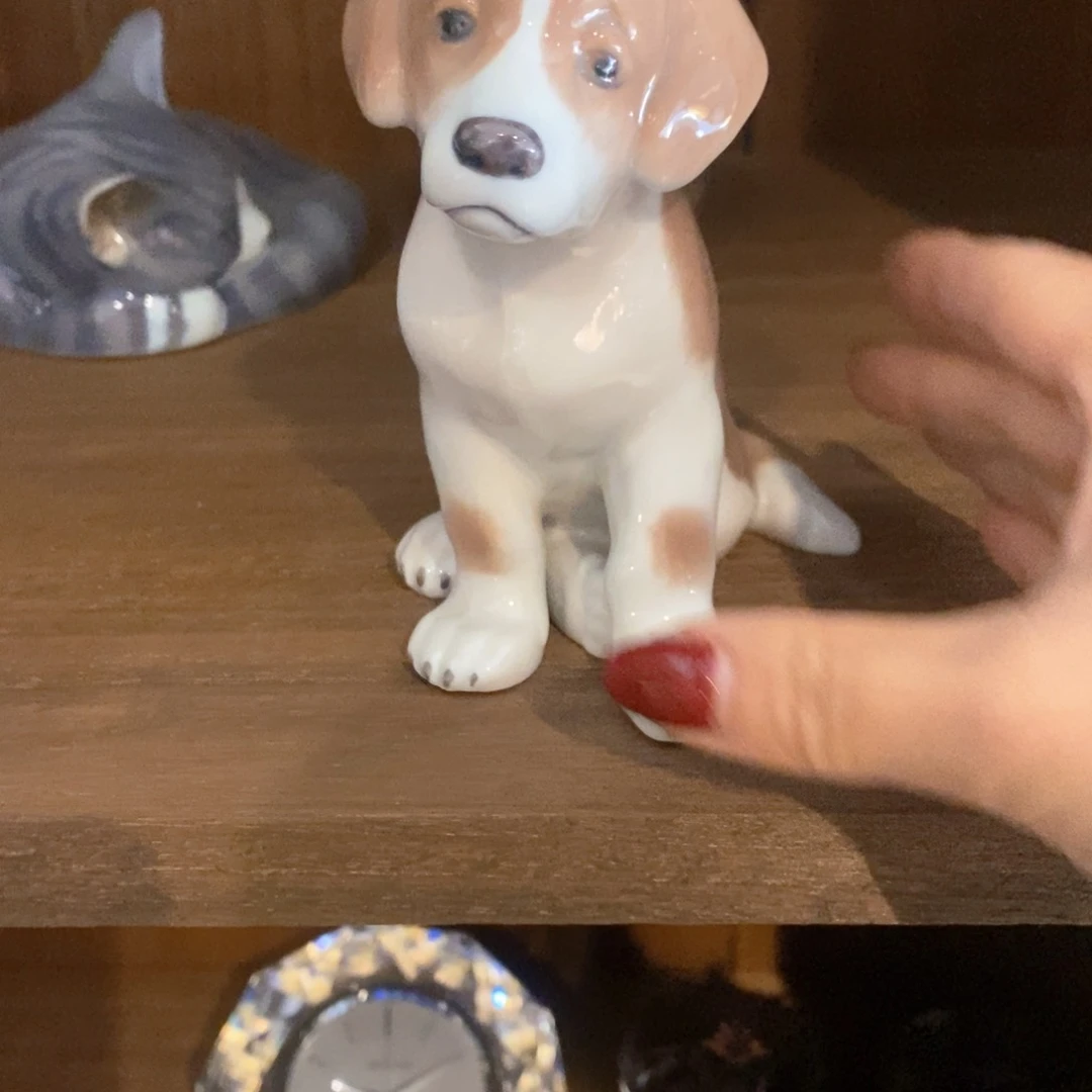 盘神*哈哈哈哈哈哈哈哈