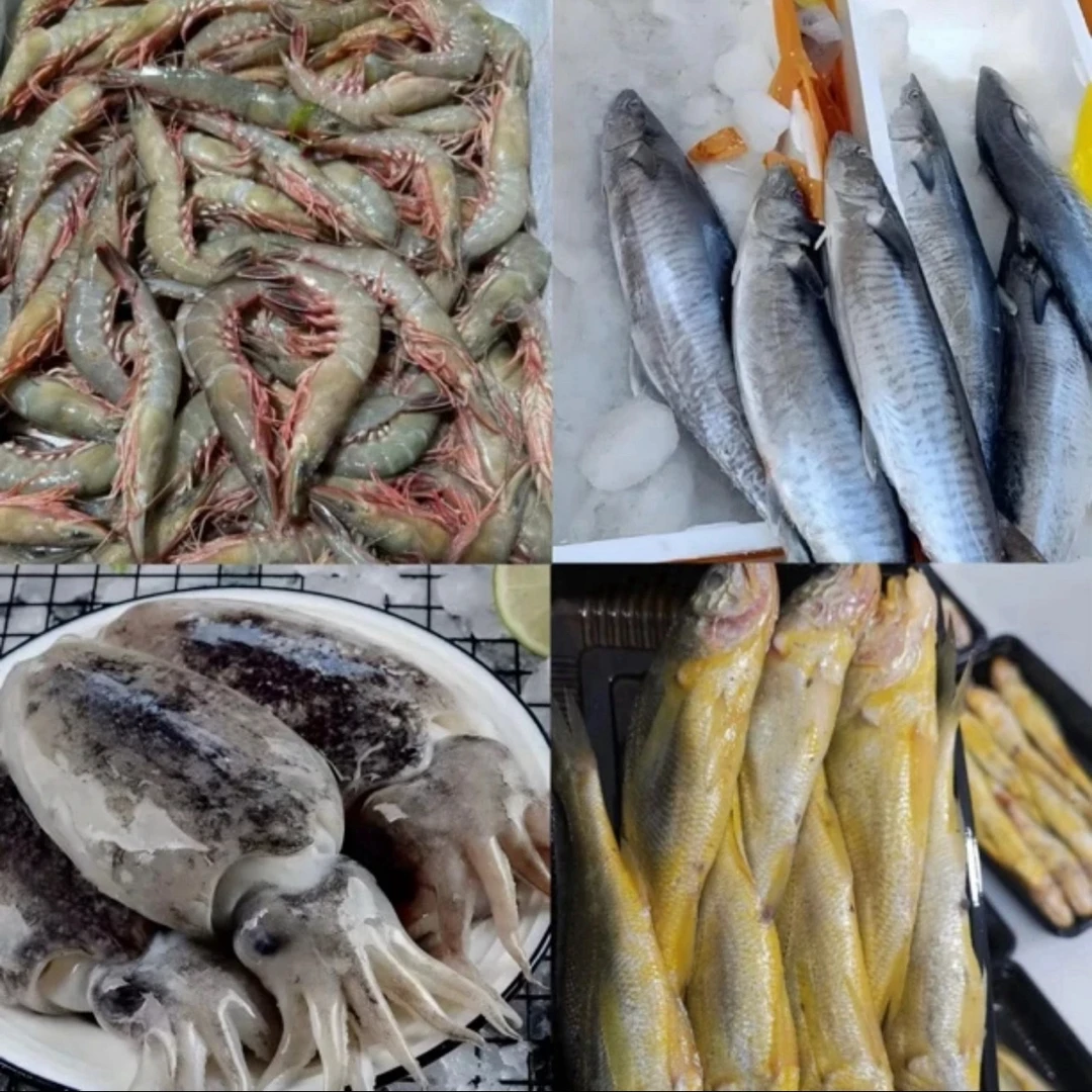 【二号现配渔货】东海多种海鲜现场配货（顺丰冷链）
