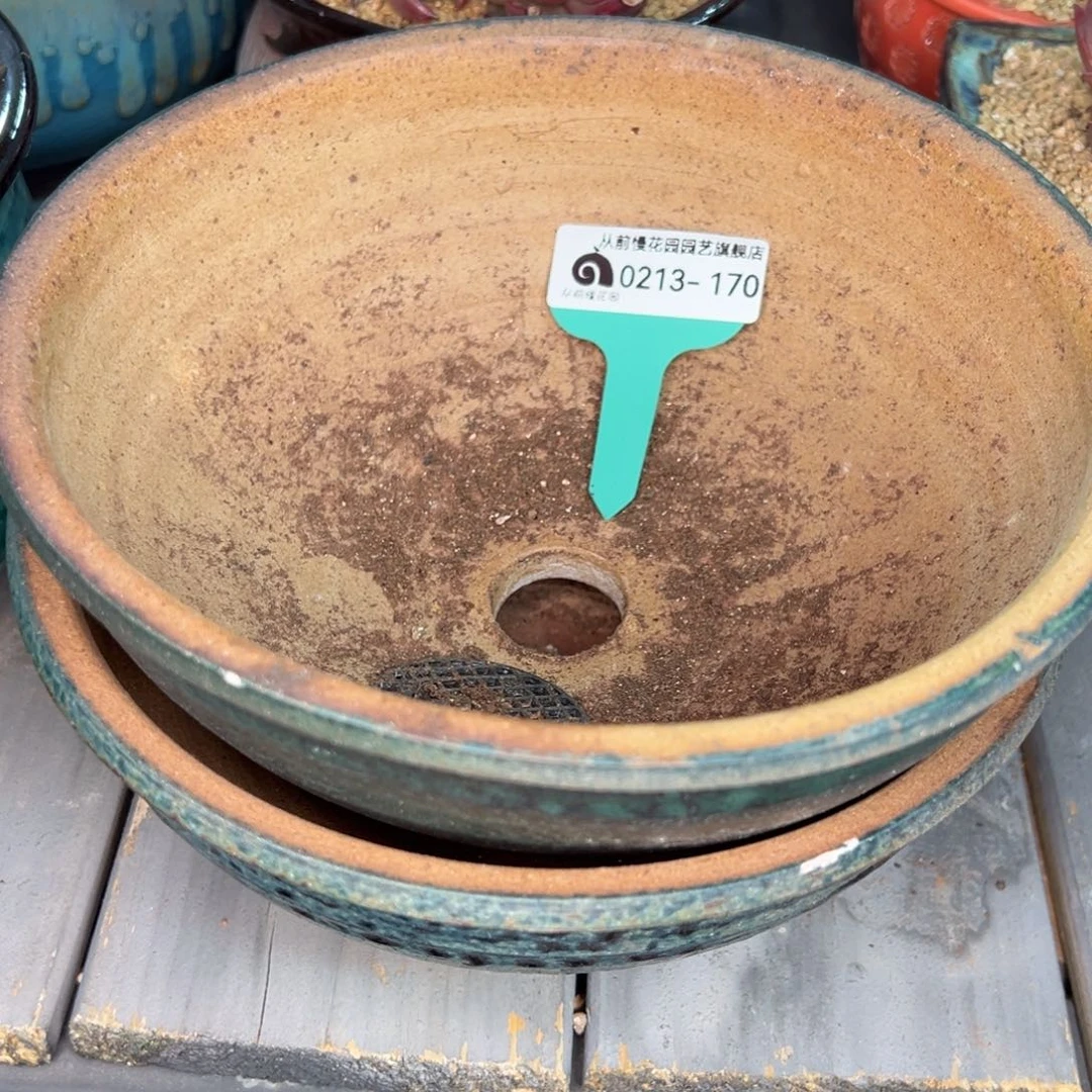 随*?从前慢多肉精选编号0213.170盆两个