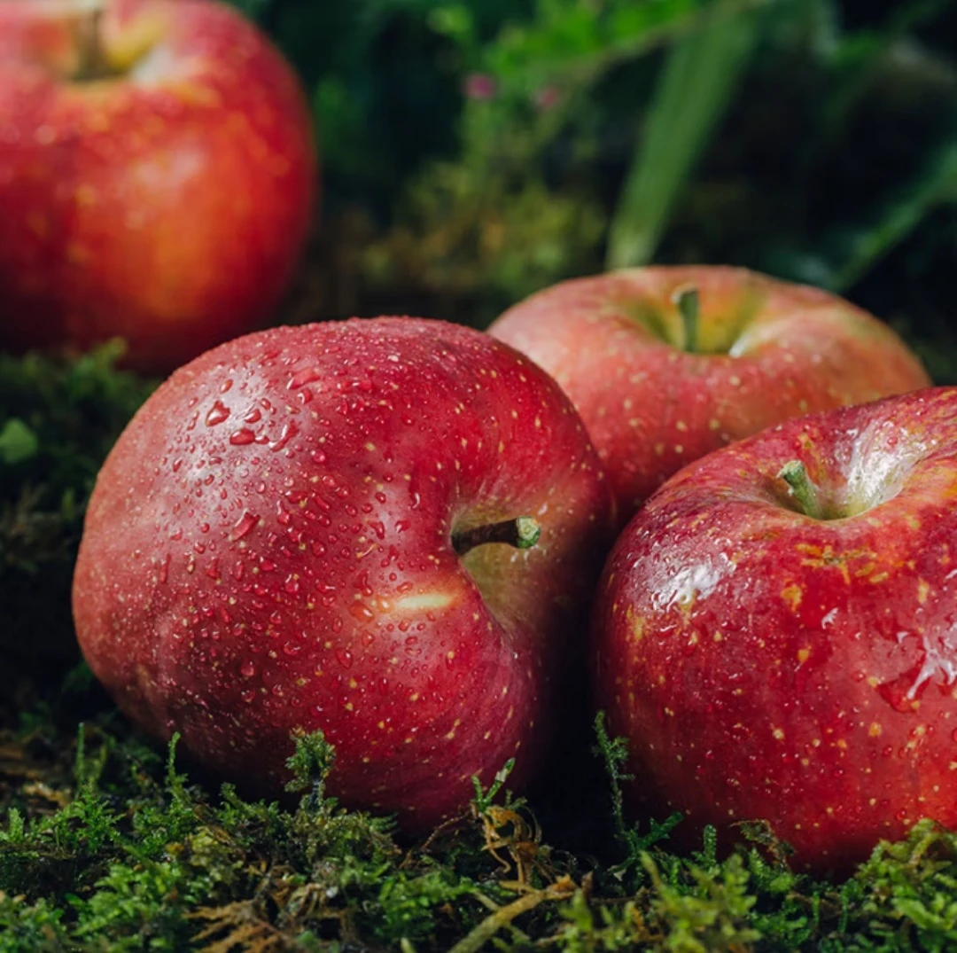 云南昭通冰糖心丑苹果5斤/箱新鲜现摘脆甜多汁营养丰富的水果