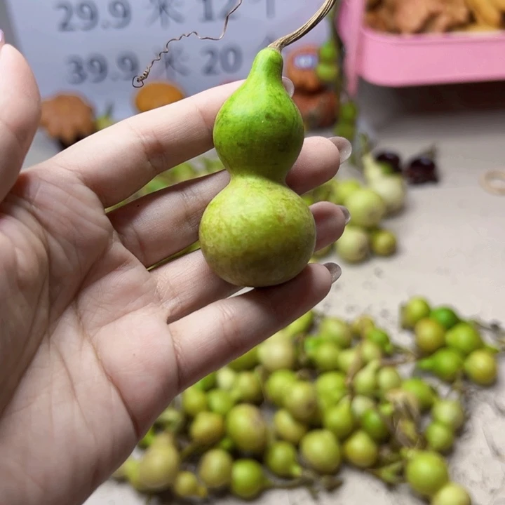 葫芦中国大陆小****中