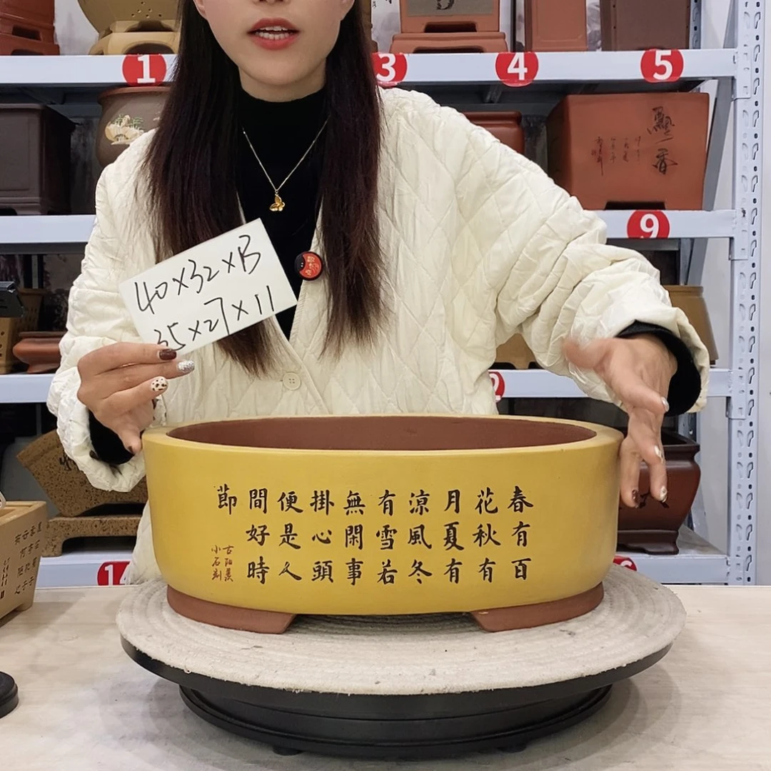 紫砂花盆紫砂花盆