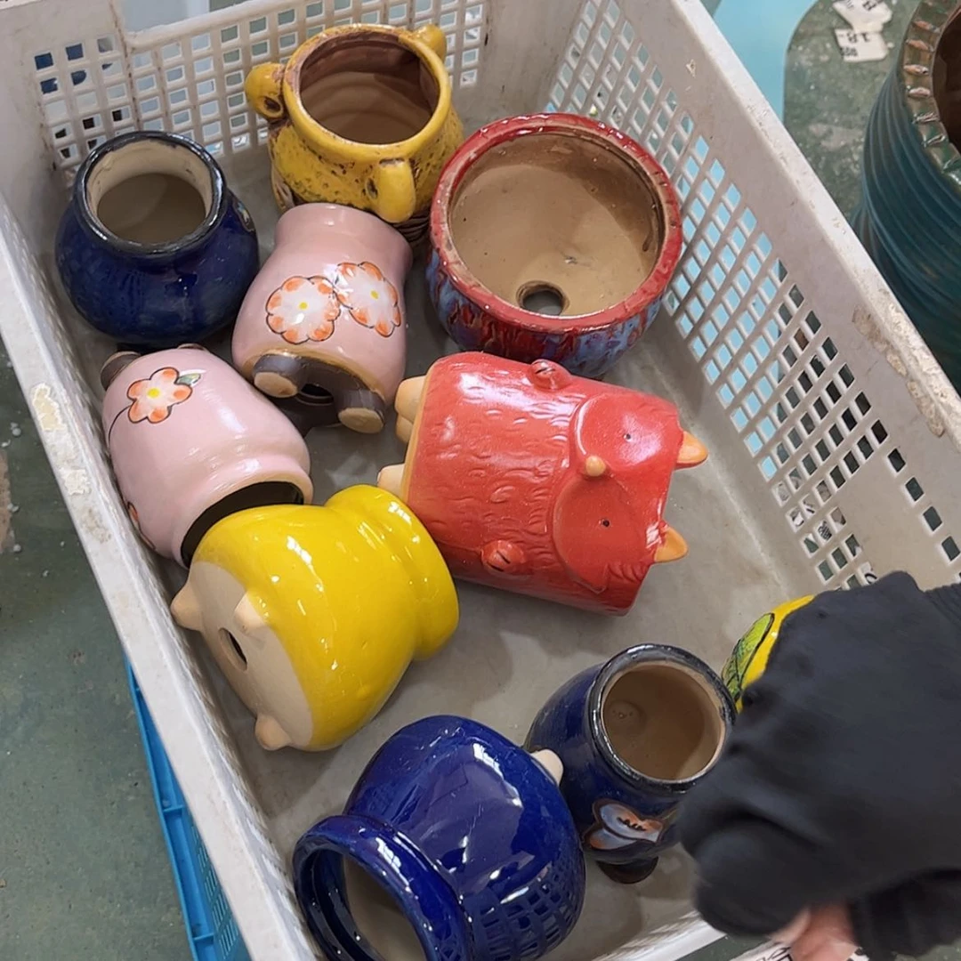 【闪购商品】红陶19106