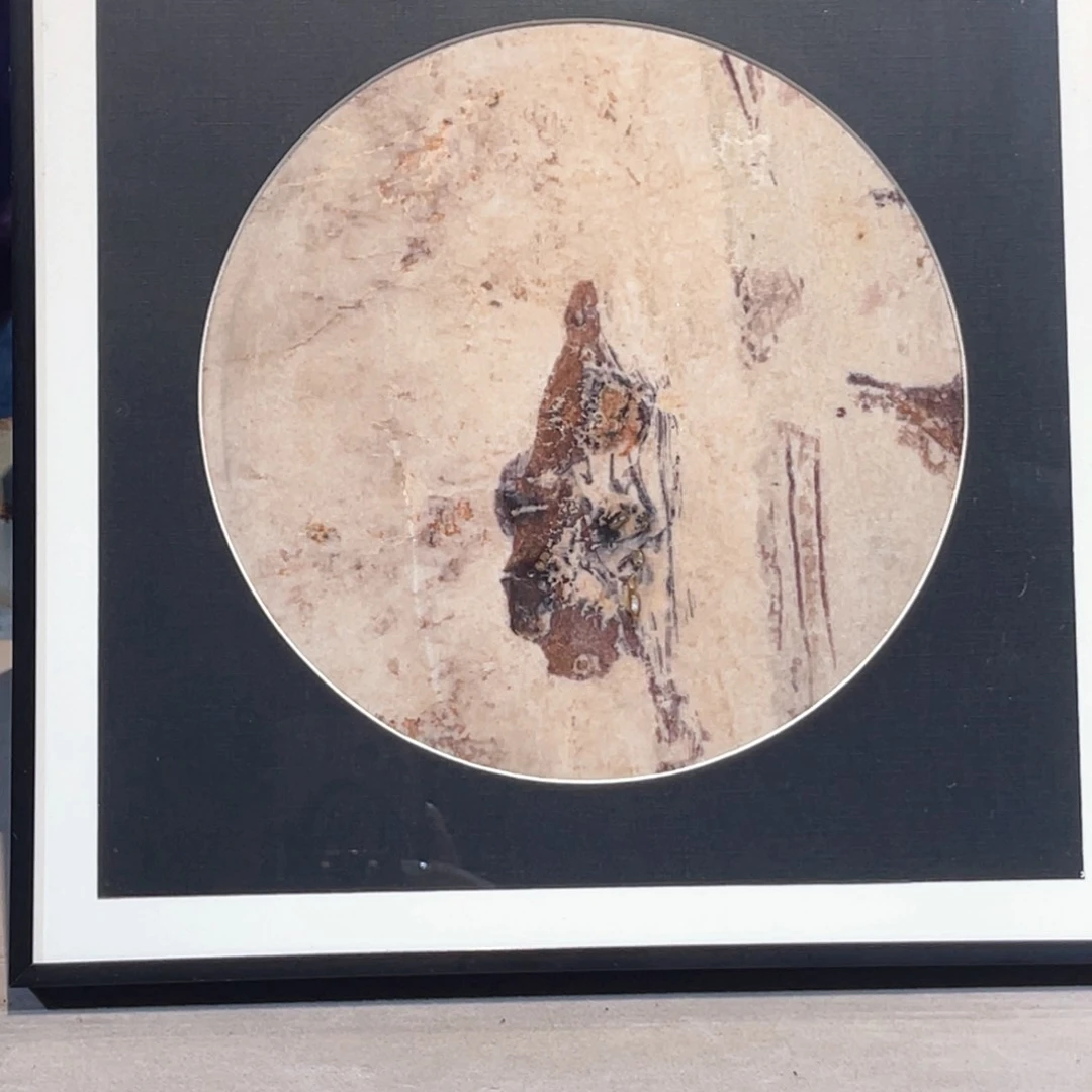 彩石30/30 三峡清江画面石