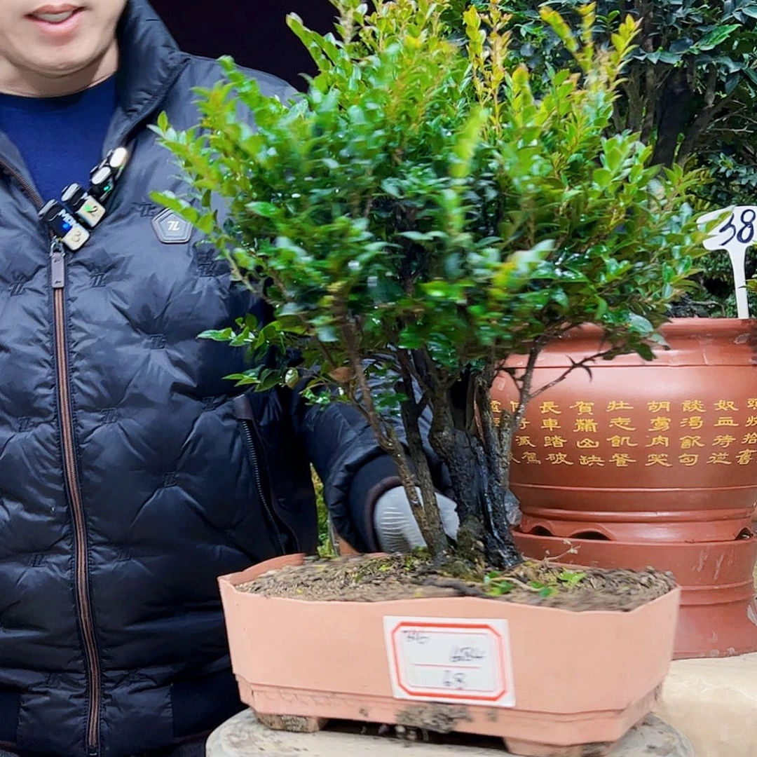 以实际为准用****512345678