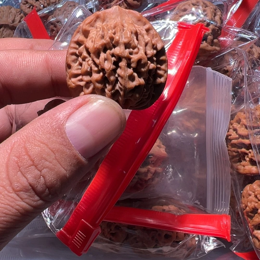 文玩核桃，汗高楼狮子头