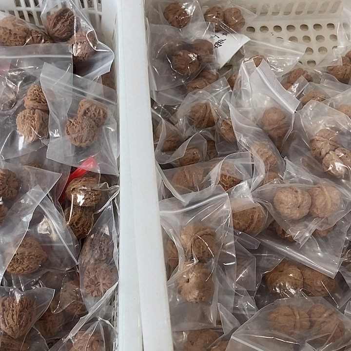吊坠文玩核桃蟆宝南瑕疵