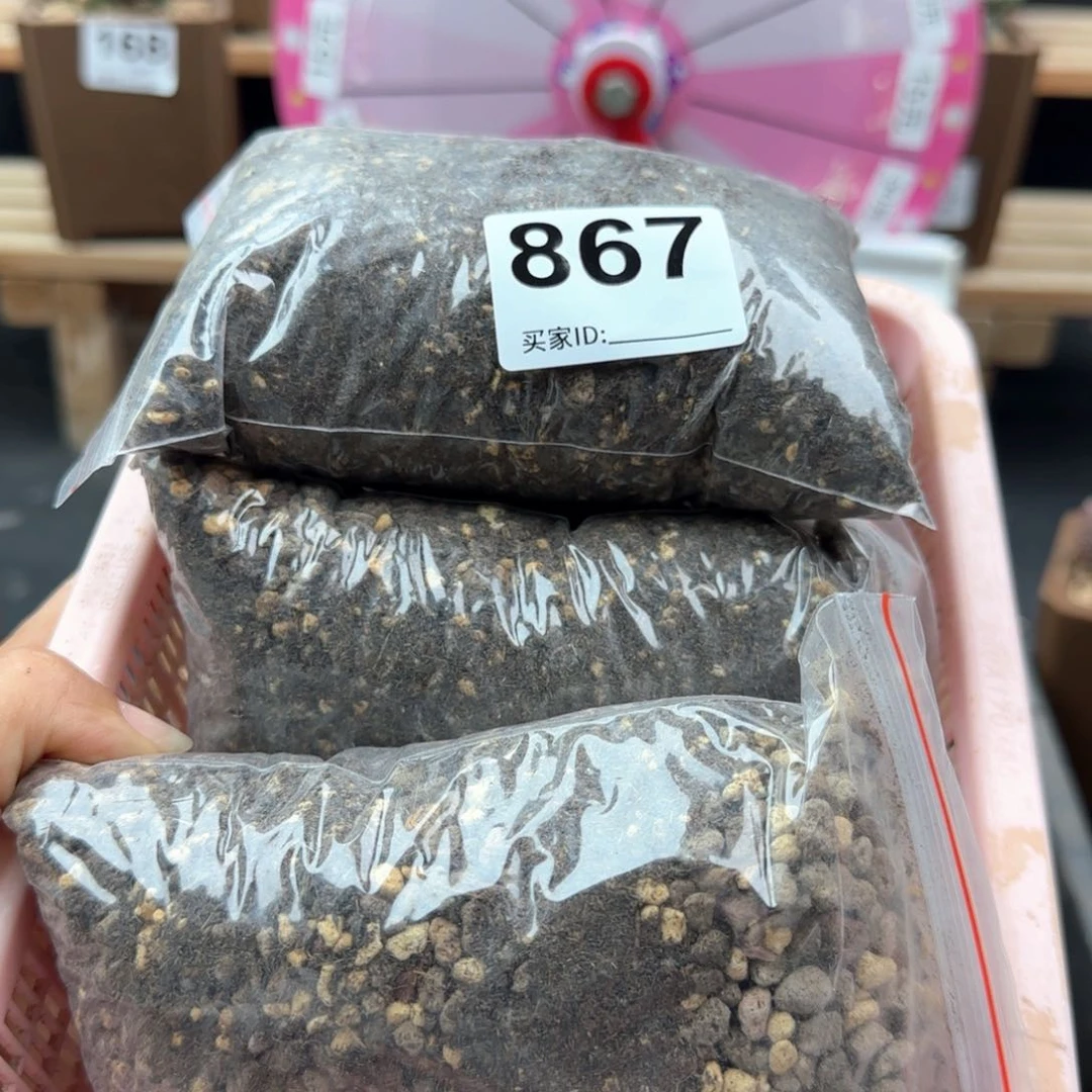 浩*867土4包多肉植物