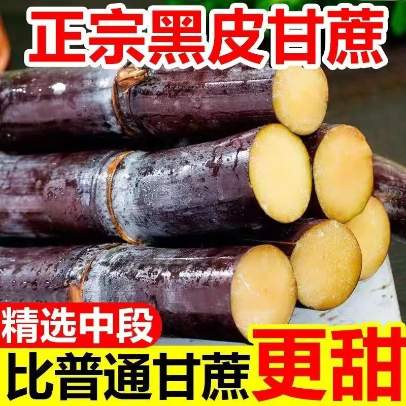 广西黑皮甘蔗新鲜现砍9斤精选中段水果应当季脆甜多汁甜杆蔗特产