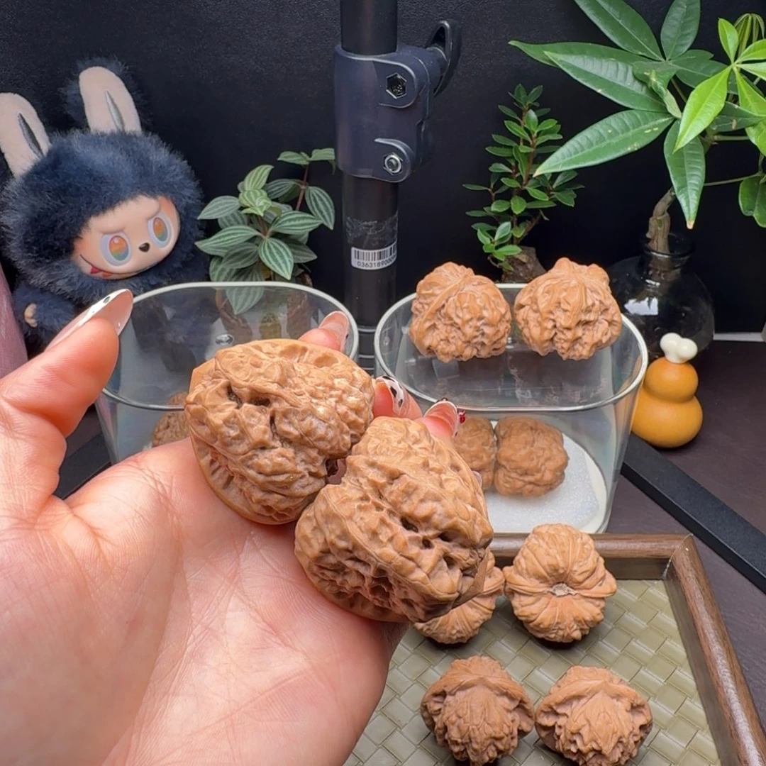 把件龙脊菩提三角蛙41