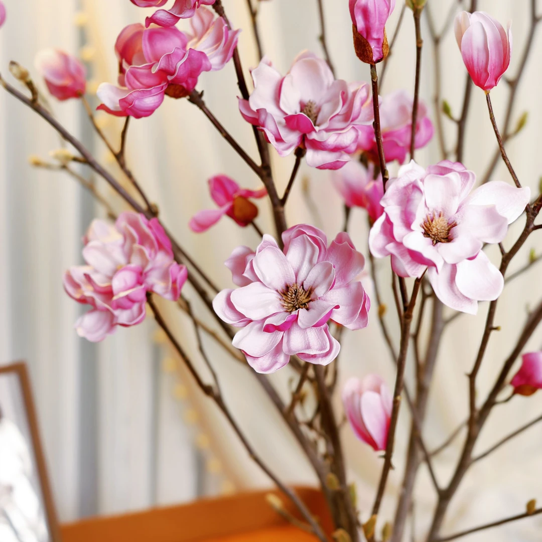 【重瓣紫粉玉兰花鲜切支】带花苞开花花卉鲜切花水培绿植