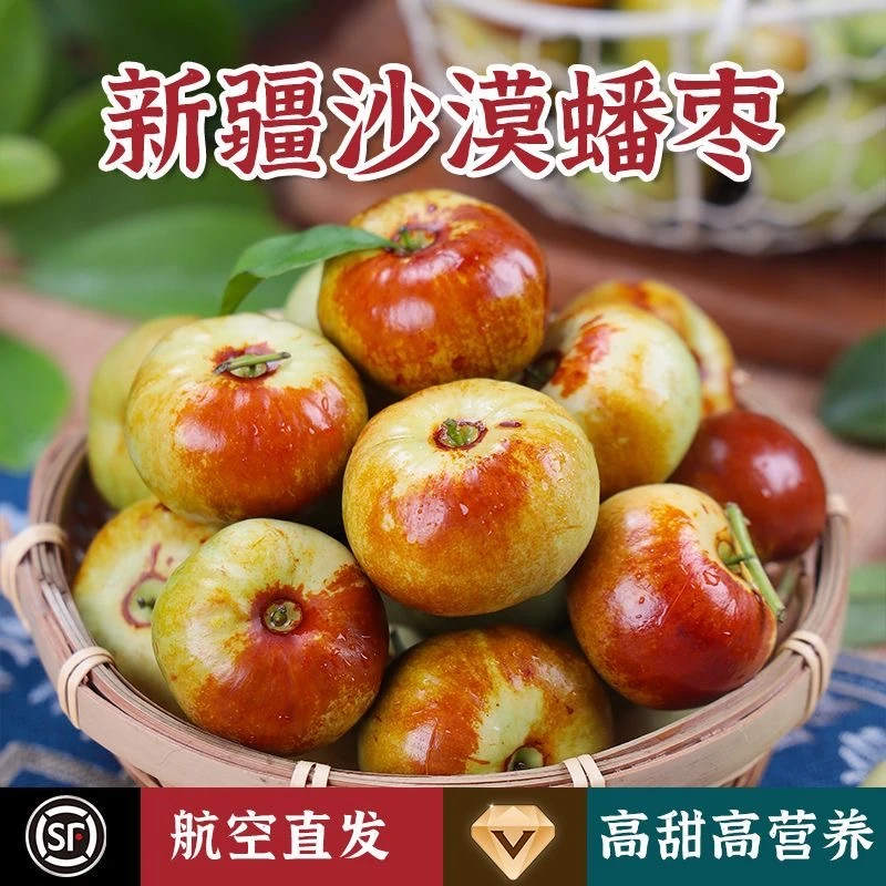 新疆沙漠蟠枣现摘现发脆甜多汁产地顺丰航空直发包邮
