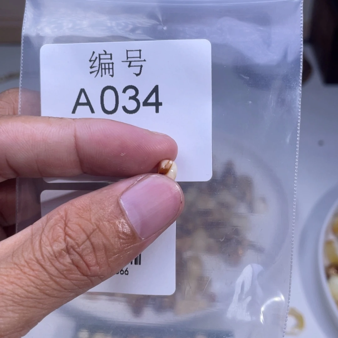 *****琥珀未镶嵌裸石蜜蜡