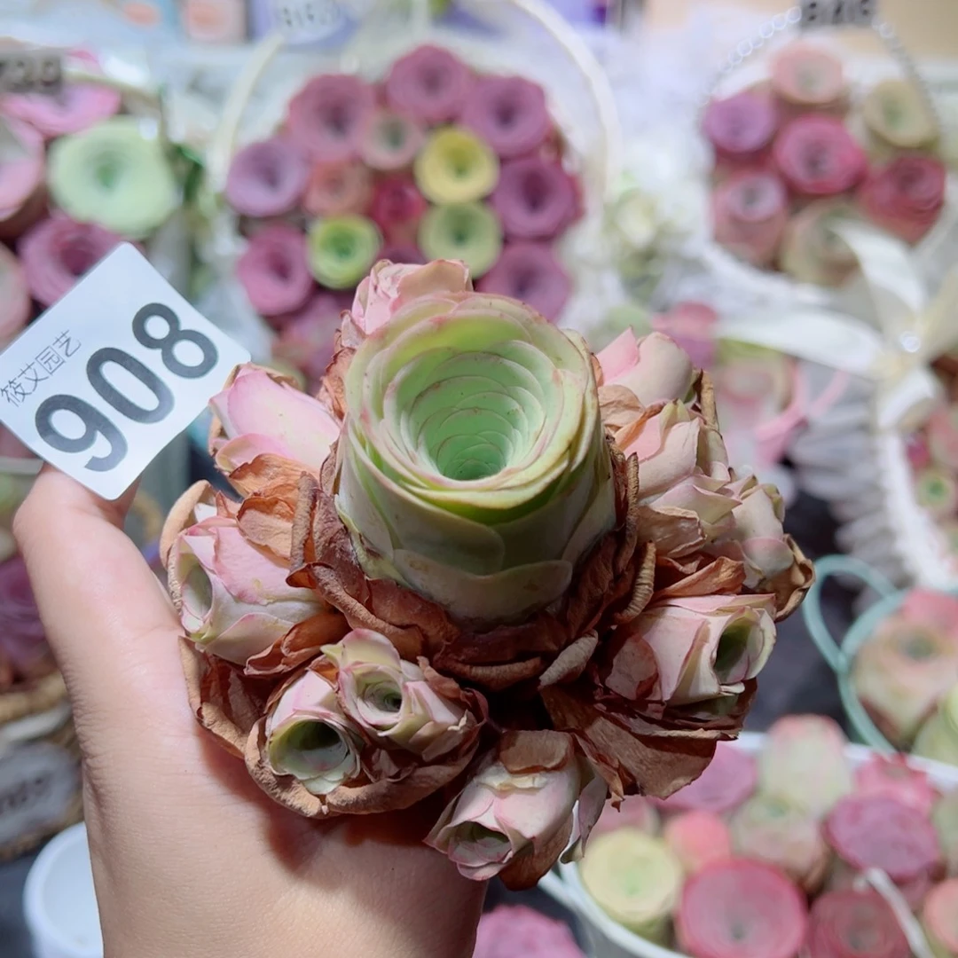 908粉色大手捧花。