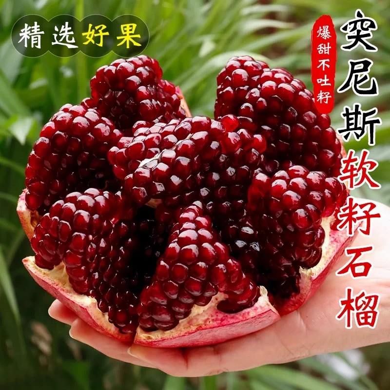 【产地直发】正宗四川会理软籽石榴当季水果现摘精品商超大果彩箱发