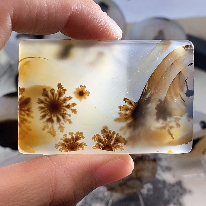 玛瑙/玉髓颈饰未镶嵌宋*