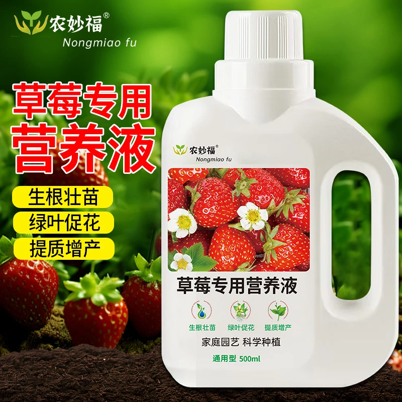 草莓肥料专用肥营养液浓缩家用型生长坐果期膨果增甜专用有机肥料