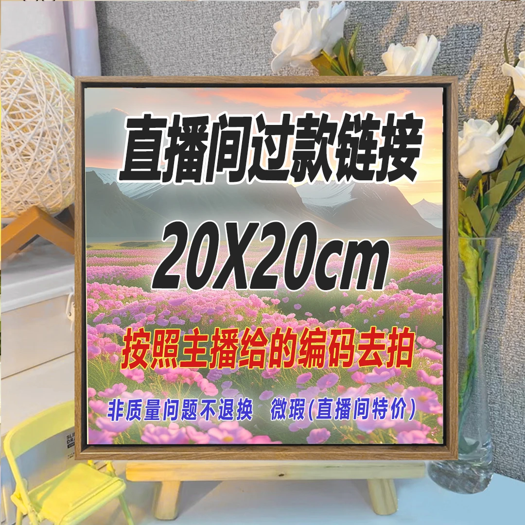 【W200号起】20*20CM数字油画直播过款 【无售后】