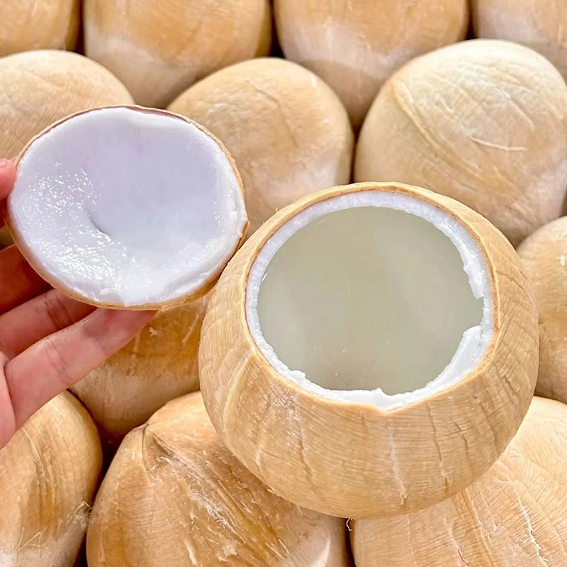 【大壮哥】泰国丹嫩沙多老树椰皇 650-800g± 5颗装