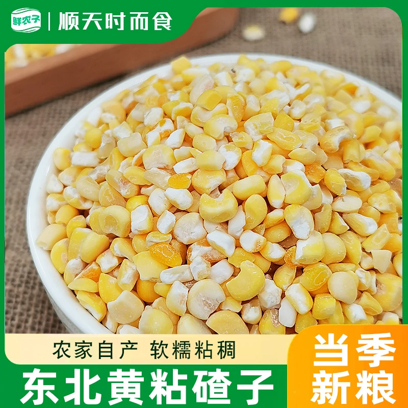 东北黄粘大碴子粘苞米玉米糁健康粗粮软糯黏玉米粒粘碴子五谷杂粮