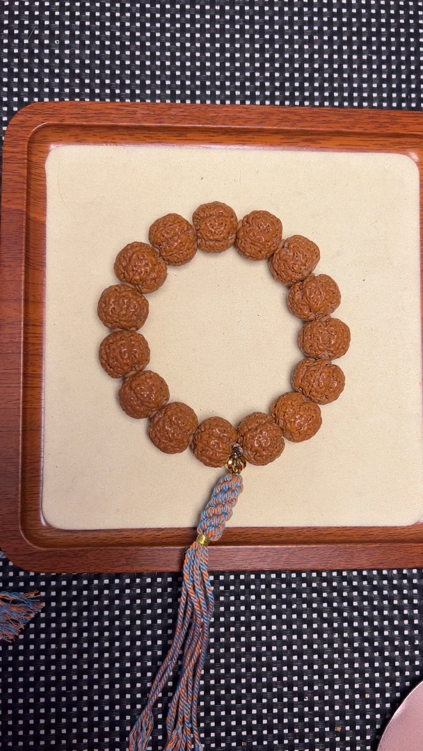 精品毕业蜂王，尼泊尔大金刚。3号