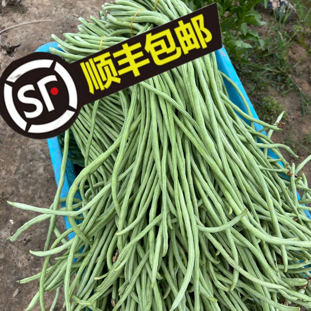 湖南醴陵新鲜长豆角当季现摘鲜嫩豇豆3斤装