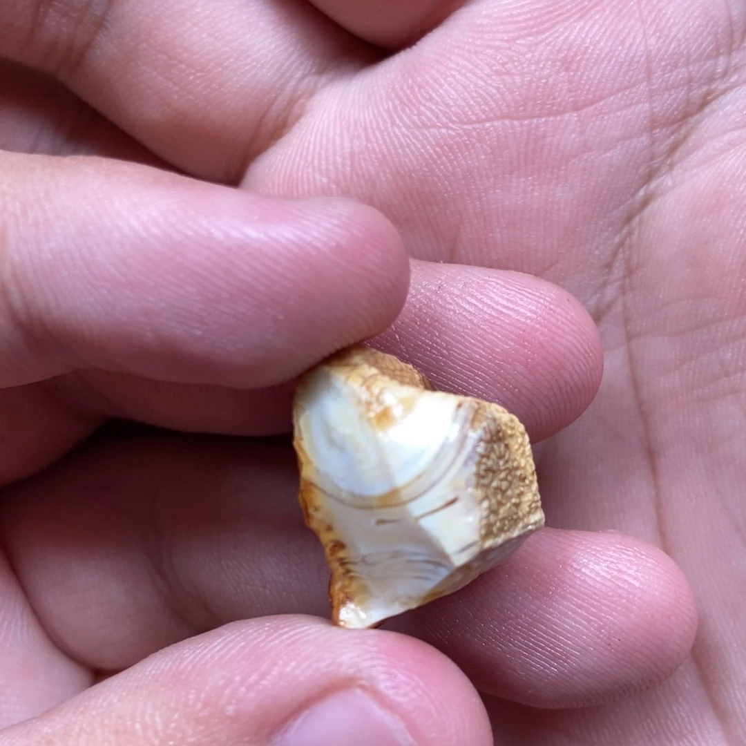 定制琥珀未镶嵌定制