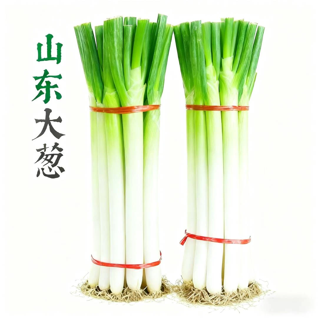 【进出级精品葱】山东铁杆大葱现挖现发新鲜大葱生鲜蔬菜长葱白去皮