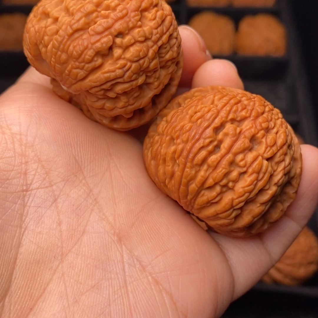 文玩核桃把件秦岭野生核桃