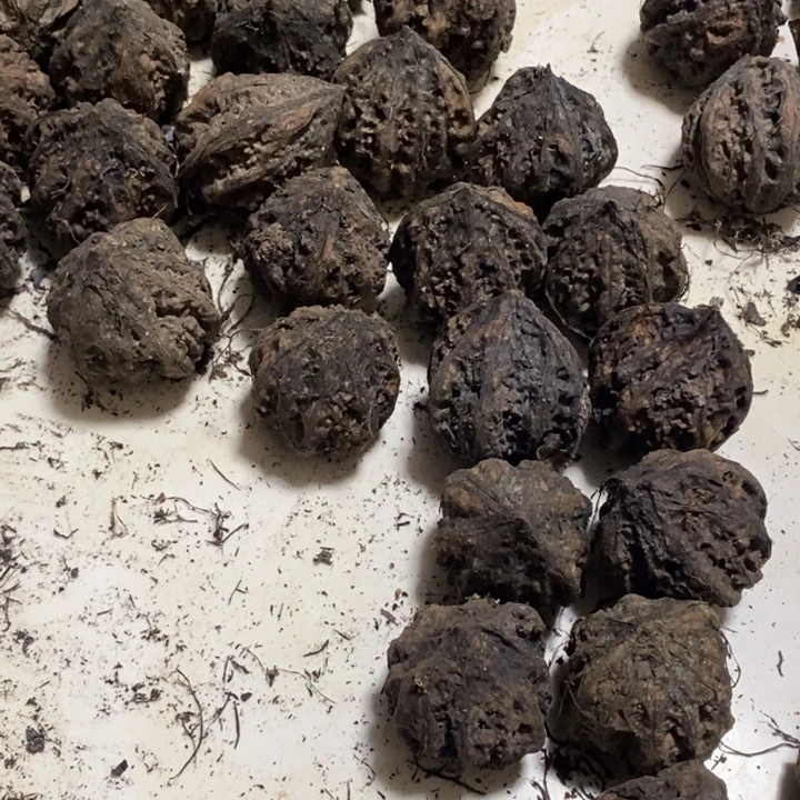 *****桃核吊坠娜姐真的314