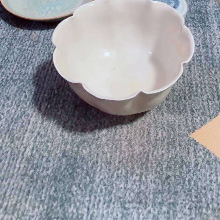 干***酒瓷片青白釉文饰的一个碗