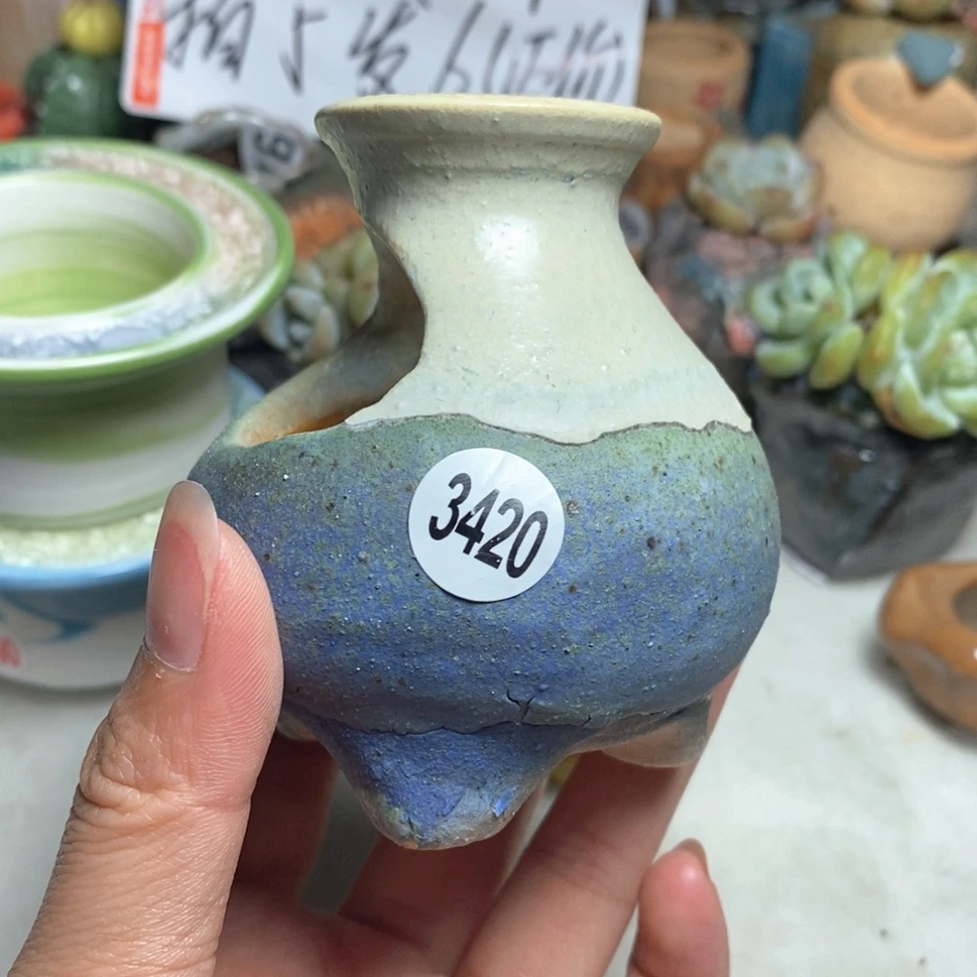 拍5送一个小礼物