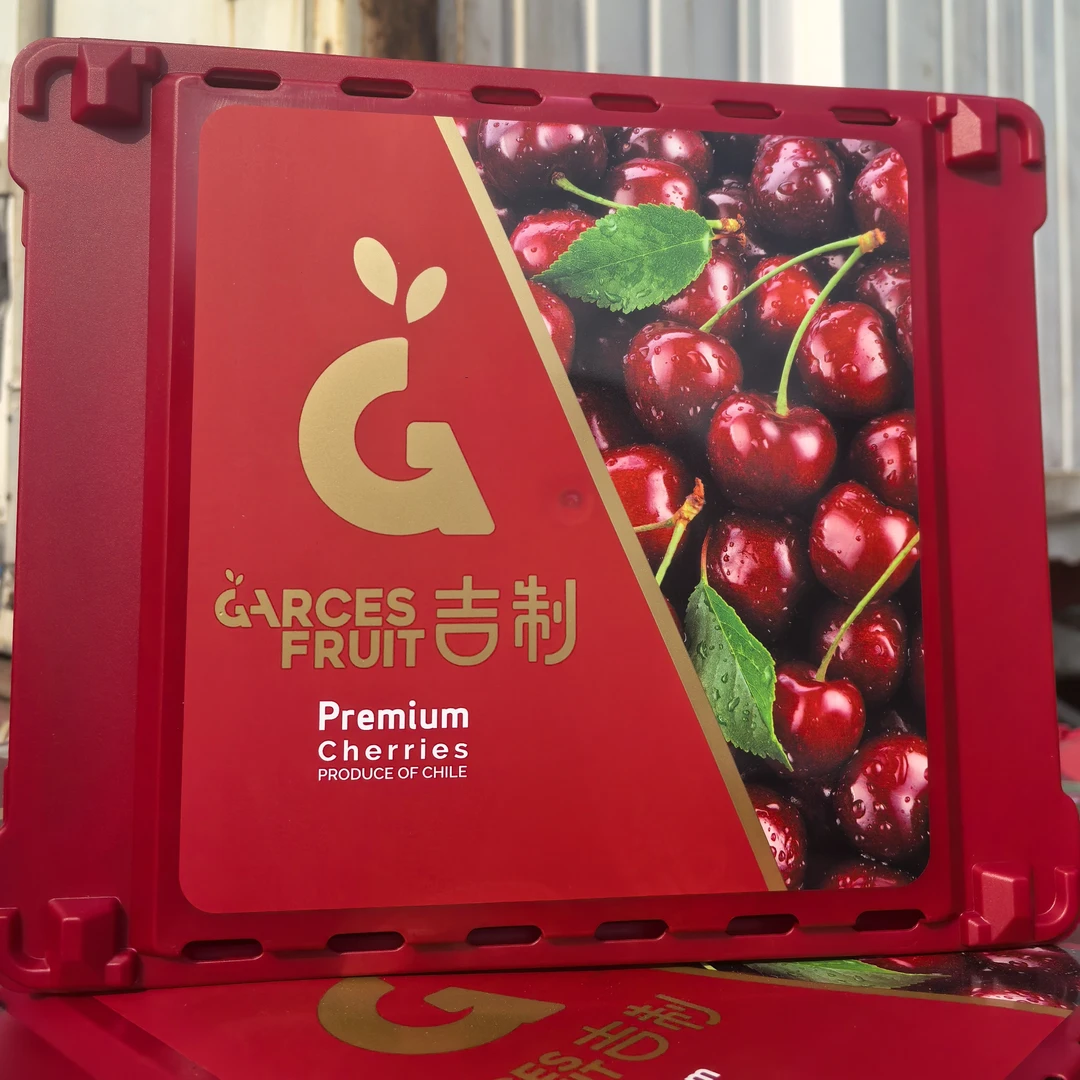 【吉制科迪亚/桑提娜】智利进口车厘子包邮空运/海运GJ 内附果径卡