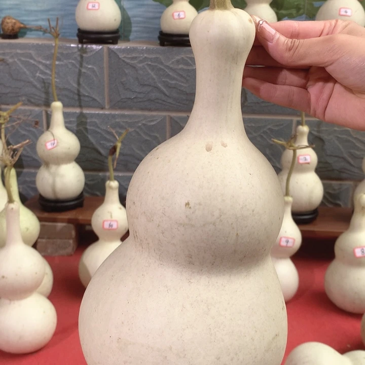 L***。中号现货供应充足