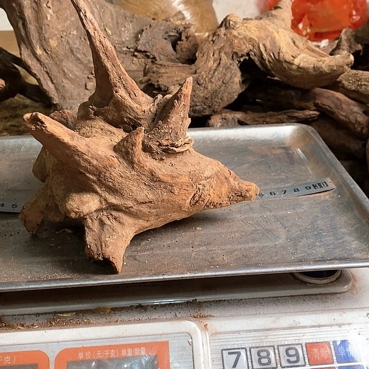 花梨木类四**江海南花梨