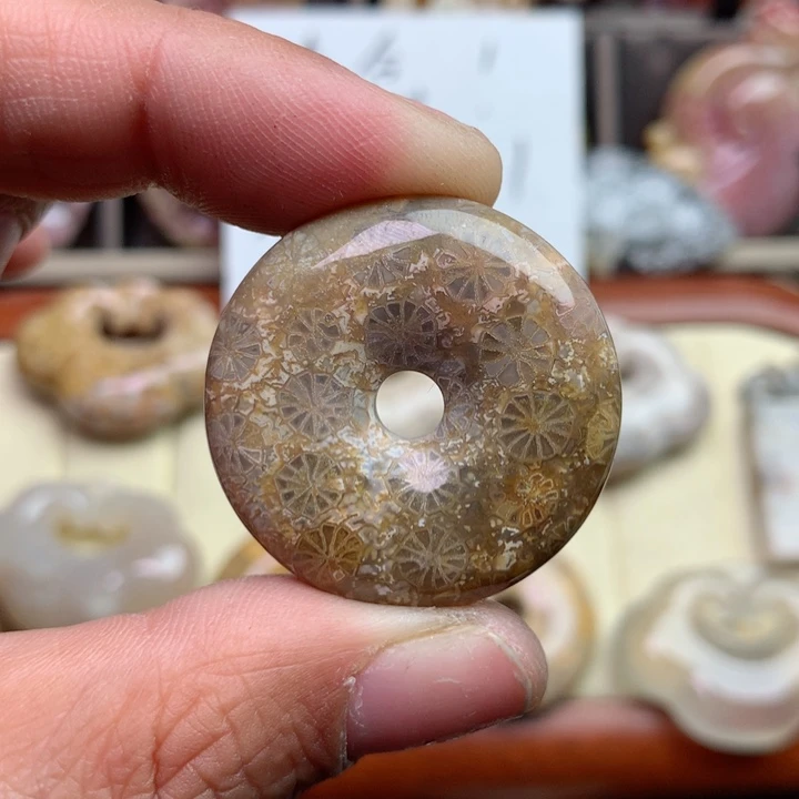 硅化珊瑚（珊瑚玉）颈饰未镶嵌