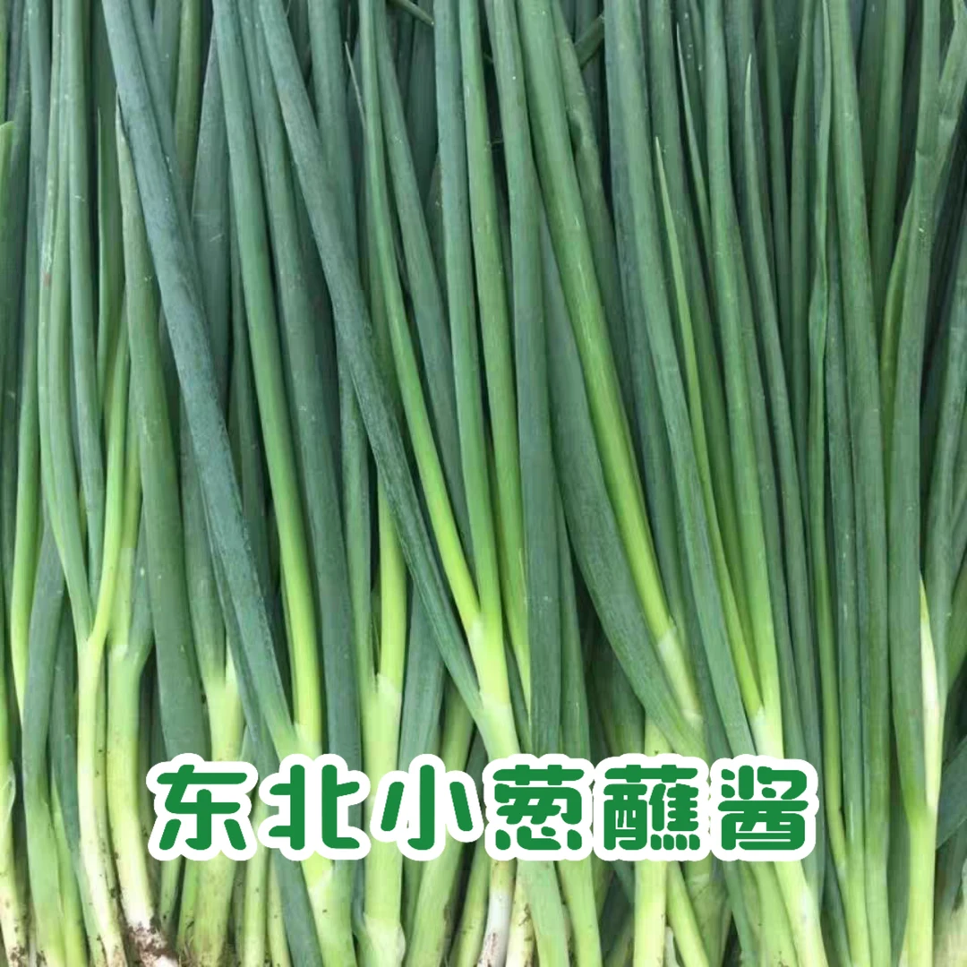 东北农家自种小葱笨葱下饭神器顺丰包邮