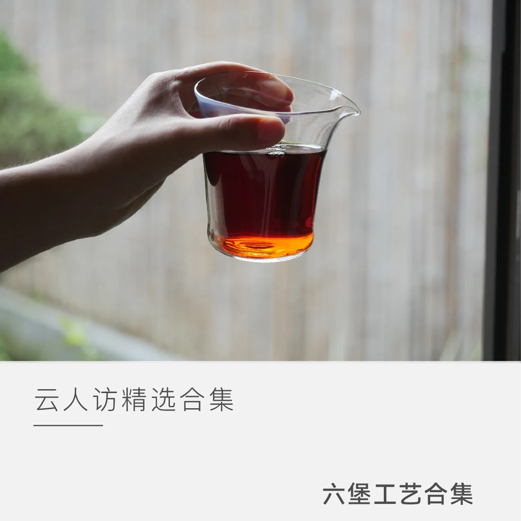 【对话｜六堡茶工艺】 古法-双蒸双压-现代工艺 六堡茶黑茶 云人访