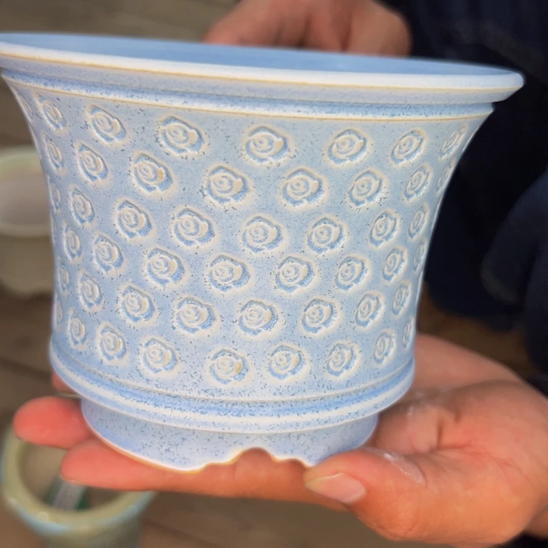 多肉一物一拍0703-41