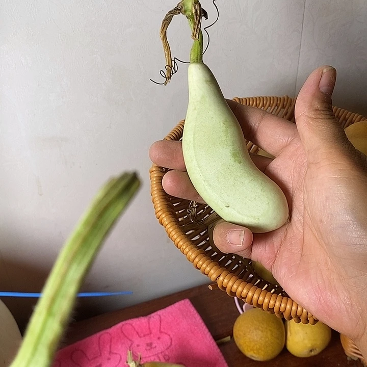 我***a青皮腰子葫芦手把件