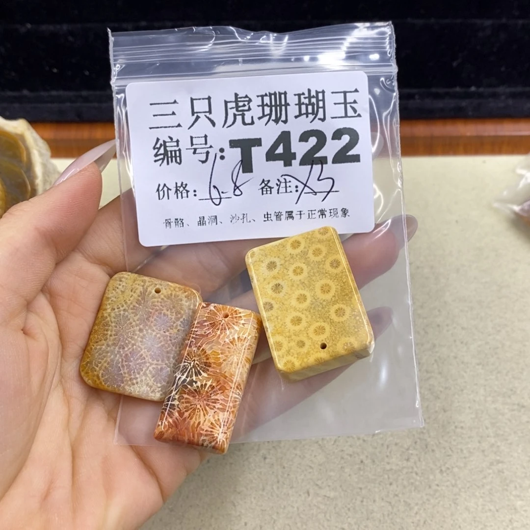 硅化珊瑚（珊瑚玉）q未镶嵌智***膜