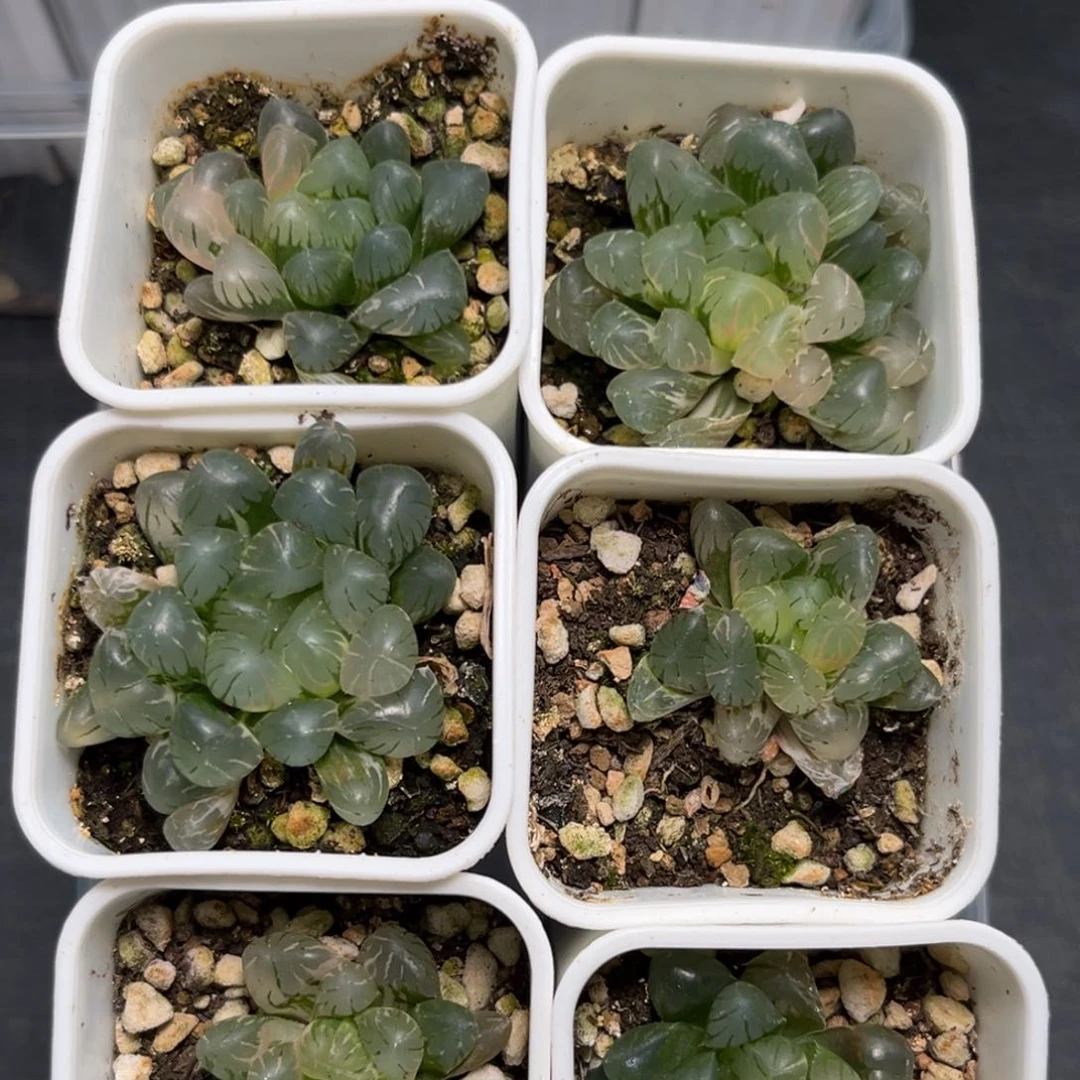 恭喜发财大吉大利1358