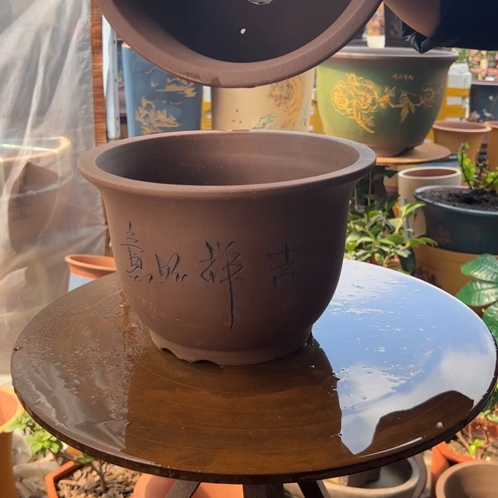 25-25平角金钟花盆花盆花盆