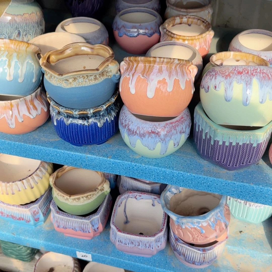 无花朵六个花盆样式随机