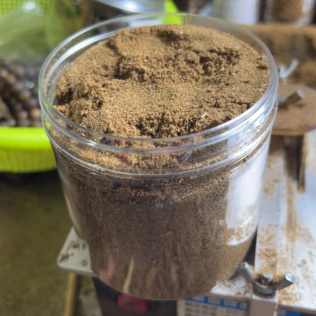 高油脂海南产区莺歌绿品种锯子粉100克装